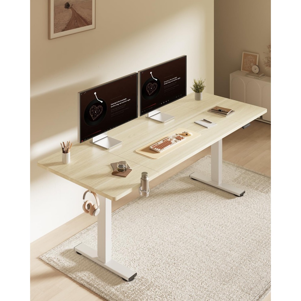 FLEXISPOT 63x32 Inch Electric  - Desk Setup For Office 评论和价格