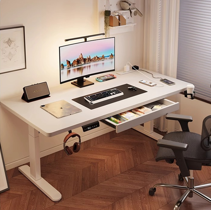 Modern Iron Dual Motor Electri - Desk Setup For Office 评论和价格