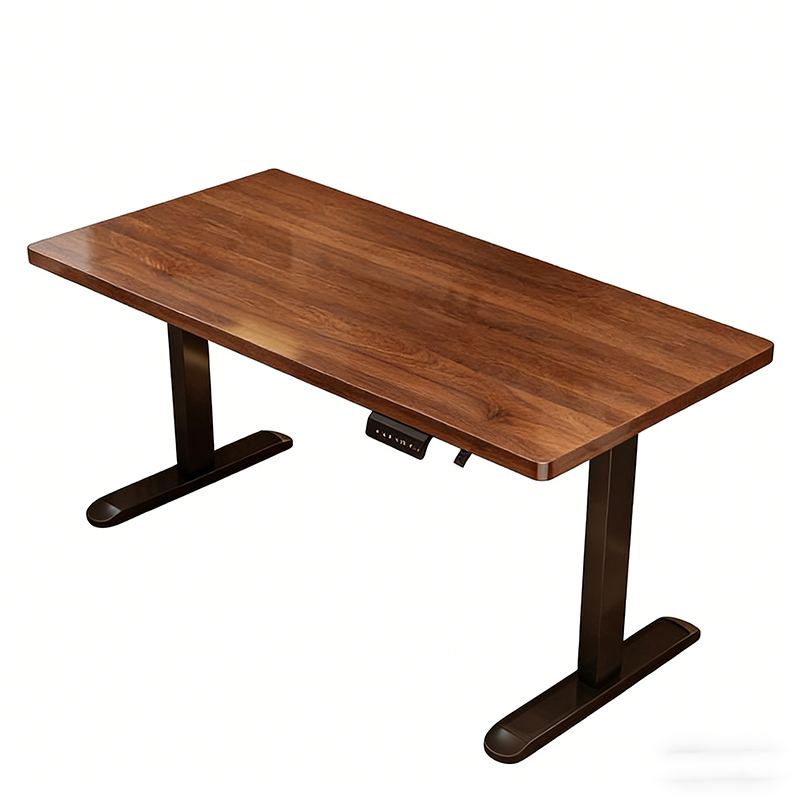 Modern Iron Dual Motor Electri - Desk Setup For Office 评论和价格