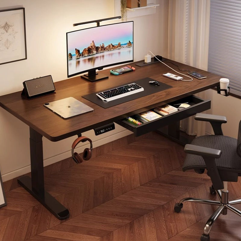 Modern Iron Dual Motor Electri - Desk Setup For Office 评论和价格
